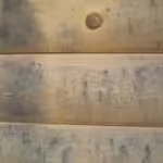 Mold and Mildew on Log Walls
