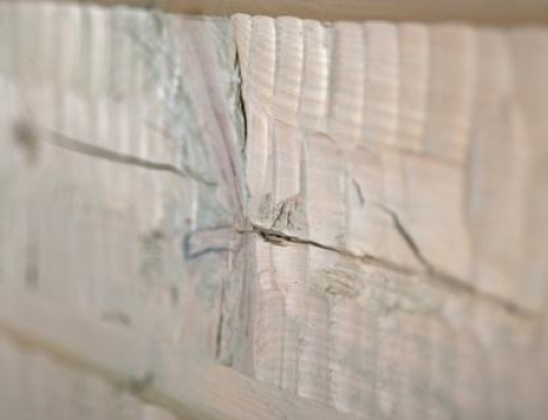 What’s The Difference? Checks vs. Cracks in Your Logs