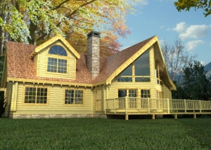 Panorama Log Home