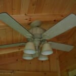Ceiling and Fan
