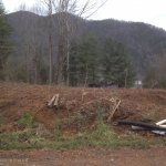 Clearing at Dillons