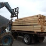Gradall Unloading Logs For Dillons