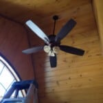 T&G and Ceiling Fan