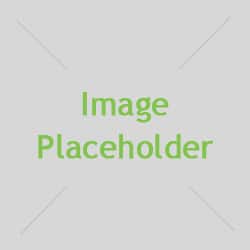 placeholder1