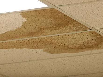 water-damage-ceiling-tiles