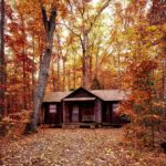 Log home in the woods during autumn