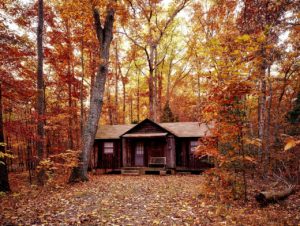 Log home in the woods during autumn